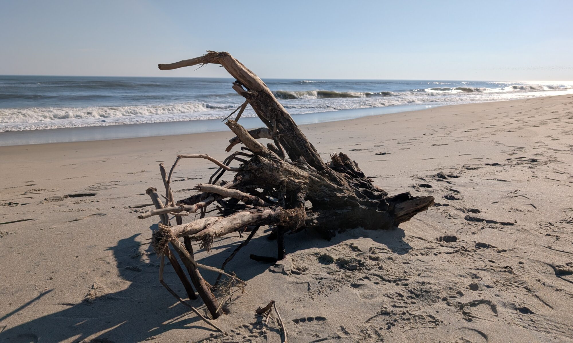 Assateague Island National Seashore