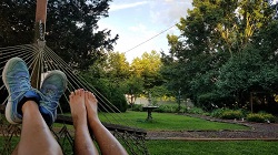 An evening in the hammock