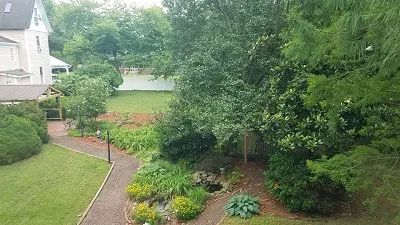 Garden View from Champagne Room